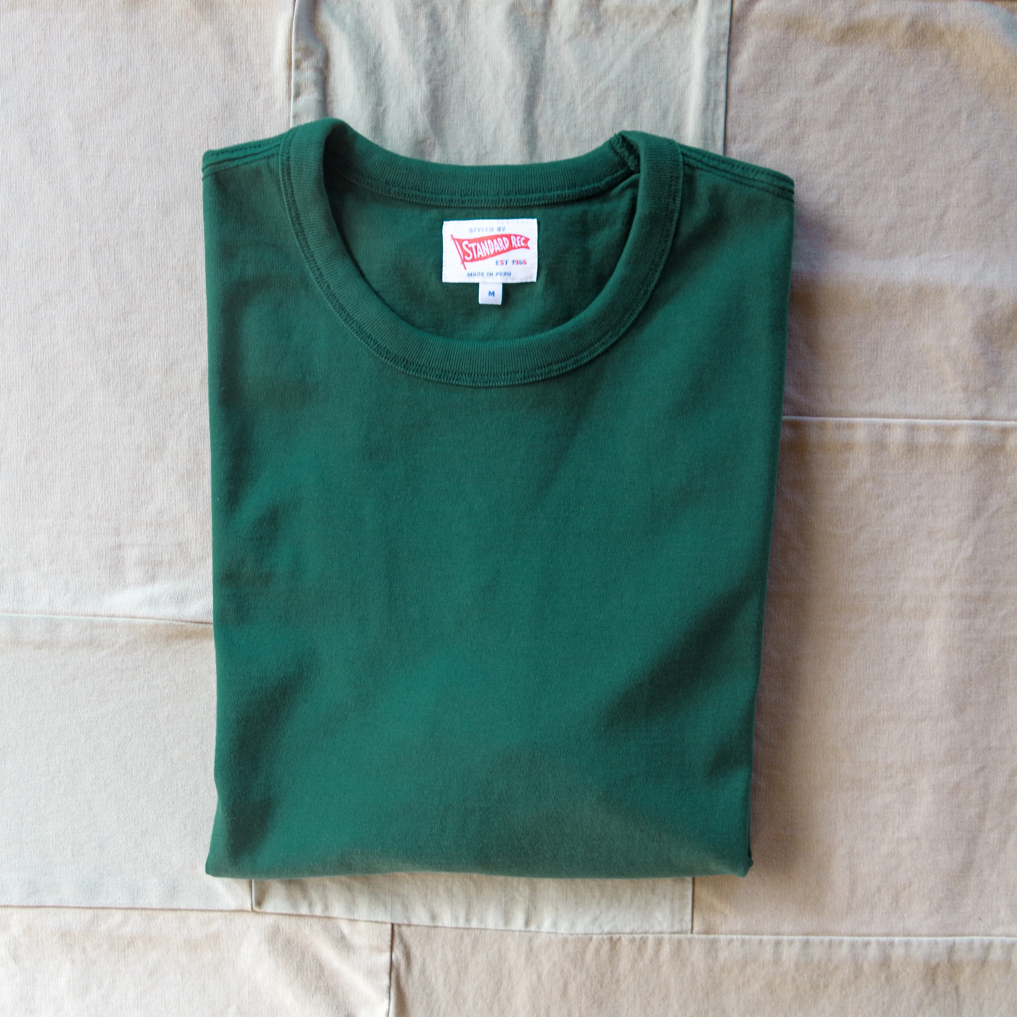 Playful Design Short Sleeve Banner T-shirt, Green