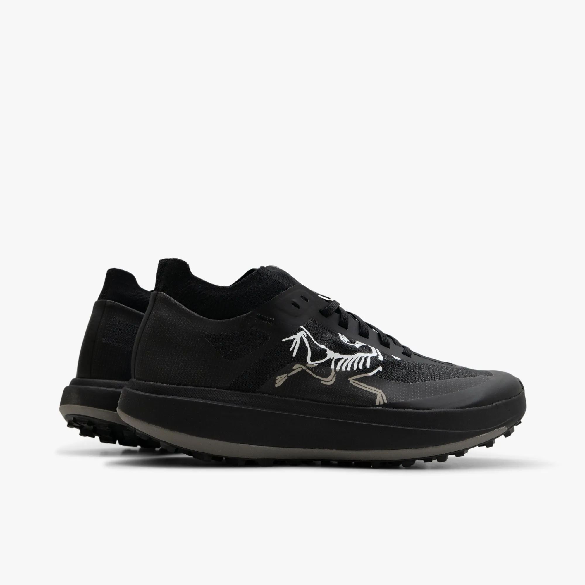 Arc'teryx Sylan Pro Black / Black Base Support Alpine Zone